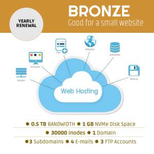 Bronze Web Hosting Services