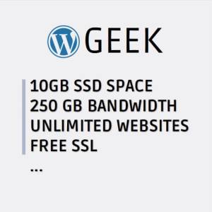 Geek Website Hosting Services 10GB