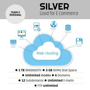Silver Web Hosting Services